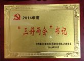 天成集團黨總支書記季宏同志榮耀當選2014年度“三好兩會”書記